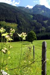am Tauernradweg
