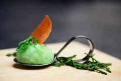 Amuse Tour Texel