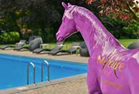 Außenpool Hotel Mercure Aachen