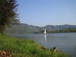 Mosel Radreise bei www.radurlaub.de