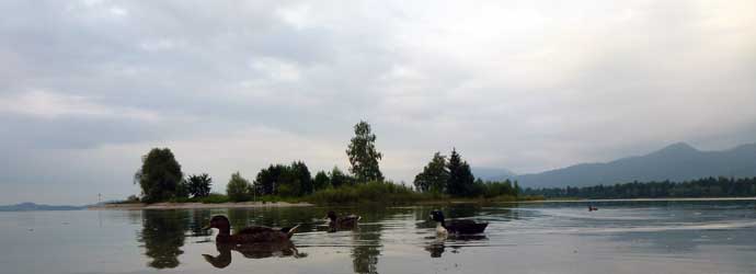 Forggensee