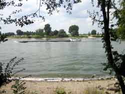 der Rhein ei Düsseldorf