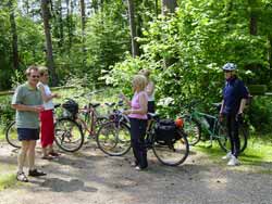 Pause in einem Waldstück des Kraut-und-Rüben-Radweges