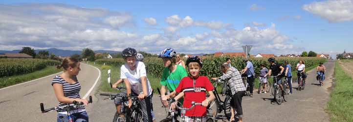 Kraut-und-Rüben-Radweg