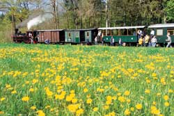 Steyrtal Musemsbahn