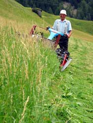 H. Oberloh sen.beim Sensen