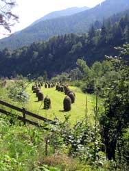 Heuhaufen am Inntalradweg