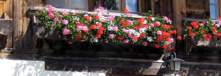 blumengeschmückte Hauswand