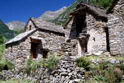 Rustici